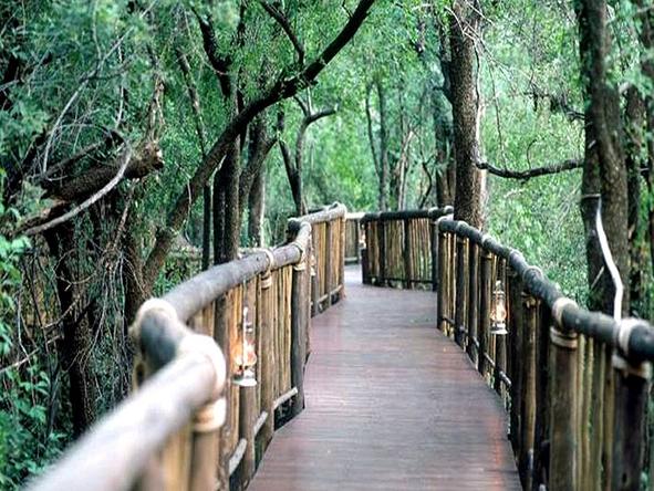 Jaci's Tree Lodge - Walking 